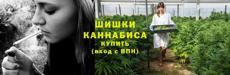 гидра ссылка  Унеча  Каннабис SATIVA & INDICA  где можно купить  